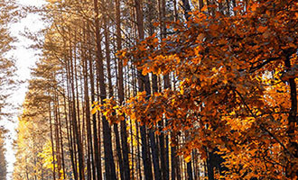 直播带货数据惊人，背后水分知多少？