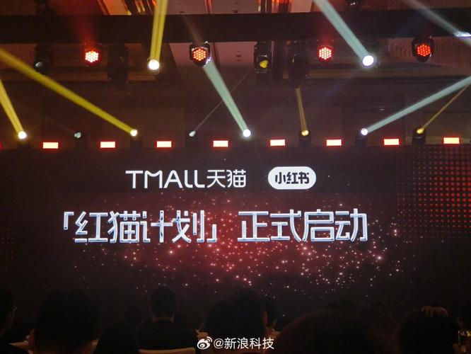 小红书种草到购买全链路合作_买小红书1000粉有买的吗_淘宝天猫小红书红猫计划