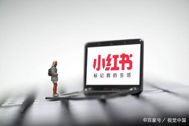 小红书业务网站_电动智能社交直播市场空间_小红书会员体系分析